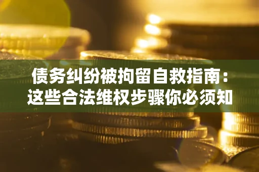 济南债务纠纷被拘留自救指南：这些合法维权步骤你必须知道！