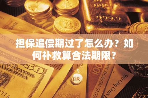 济南担保追偿期过了怎么办？如何补救算合法期限？