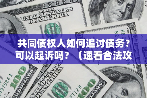 济南共同债权人如何追讨债务？可以起诉吗？（速看合法攻略）